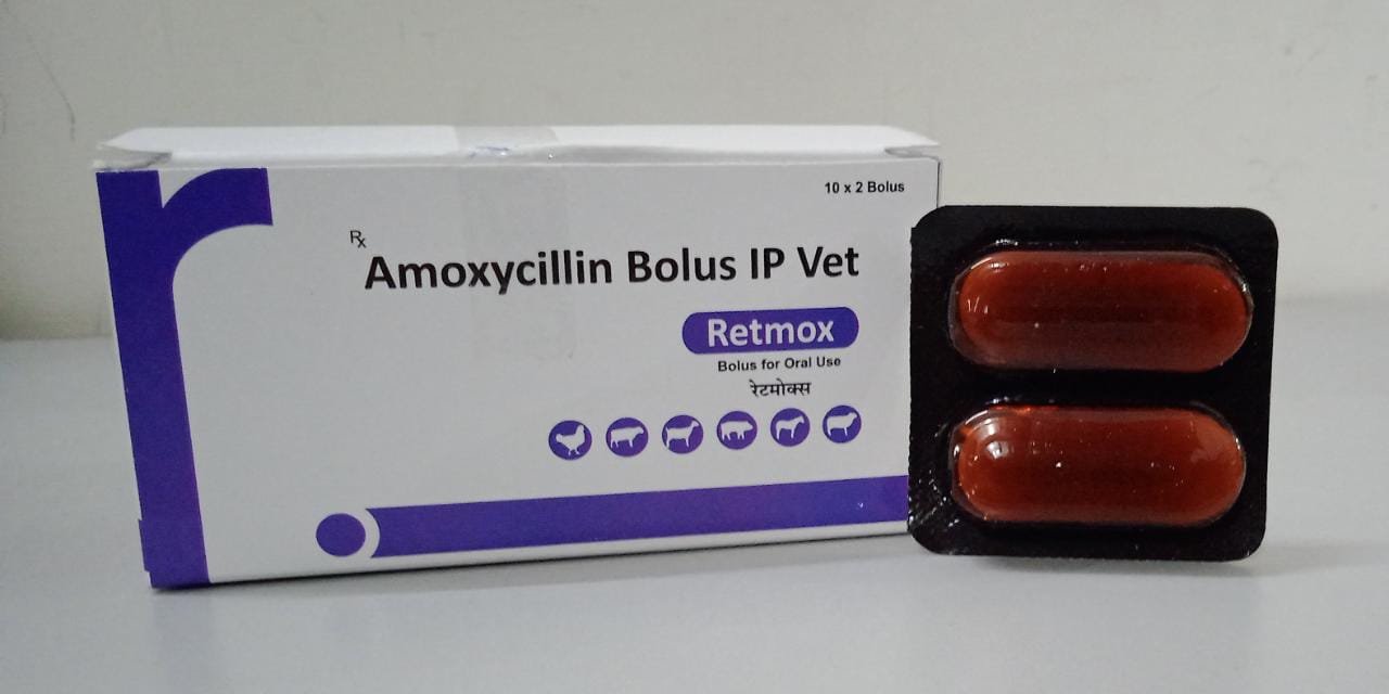 RETMOX BOLUS